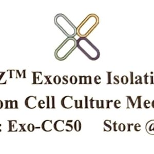 Exosome Isolation Kit from Cell Culture Media-Exo-CC50