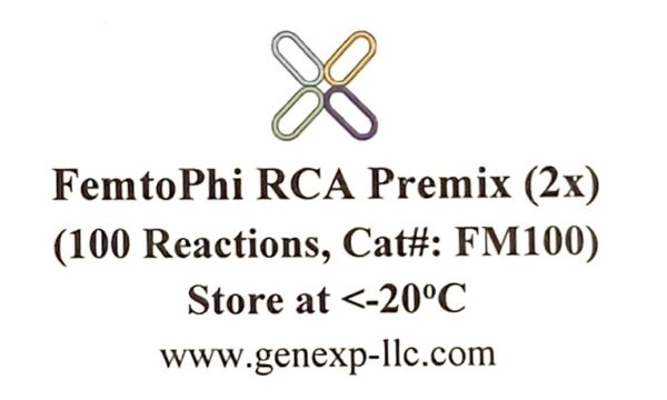 FemtoPhi RCA Premix with Random Primers-FM100 - Image 2