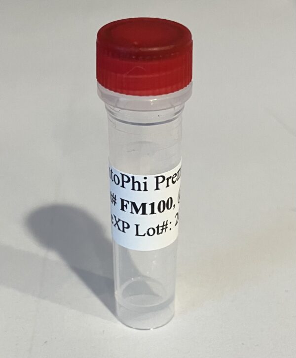 FemtoPhi RCA Premix with Random Primers-FM100