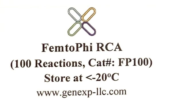 FemtoPhi RCA Kit with Random Primers-FP100 - Image 2