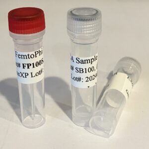FemtoPhi RCA Kit with Specific Primers-FP100S