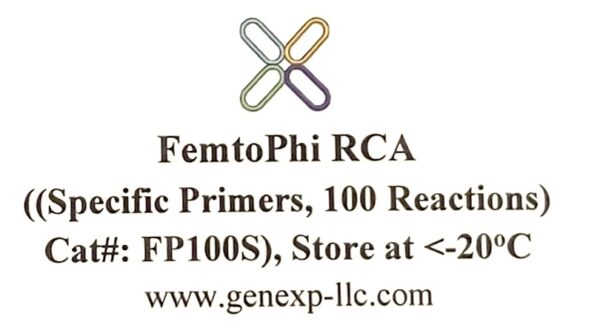 FemtoPhi RCA Kit with Specific Primers-FP100S - Image 2
