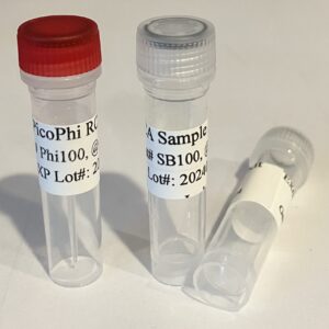 PicoPhi DNA Amplification (RCA) Kit with Random Primers-Phi100