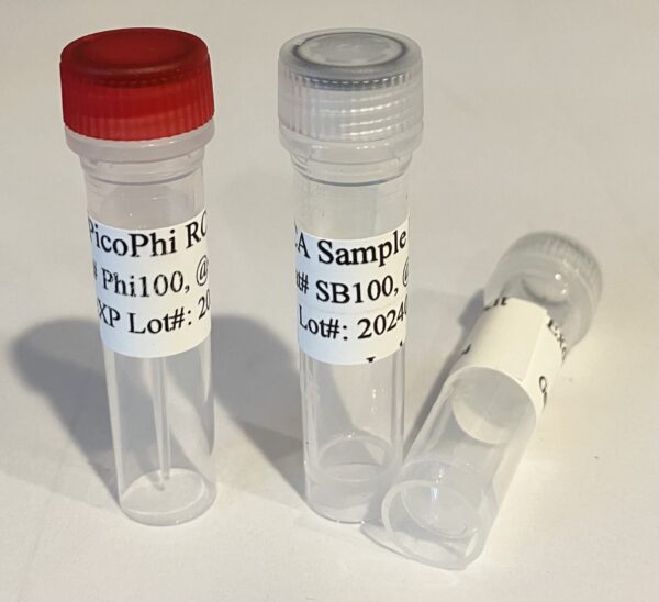 PicoPhi DNA Amplification (RCA) Kit with Random Primers-Phi100