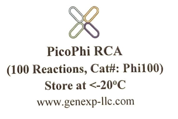 PicoPhi DNA Amplification (RCA) Kit with Random Primers-Phi100 - Image 2