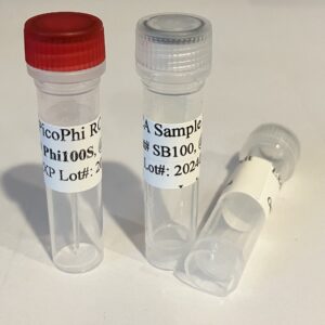 PicoPhi RCA Kit with Specific Primers-Phi100S
