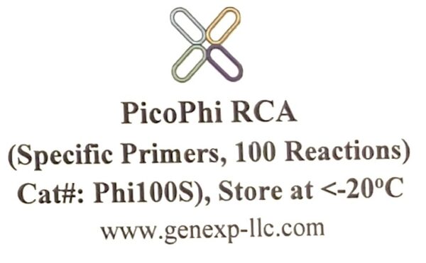 PicoPhi RCA Kit with Specific Primers-Phi100S - Image 2