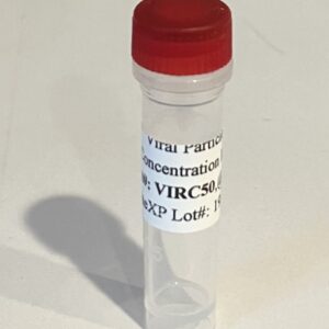 Universal Viral Particle Concentration Kit-Vir50